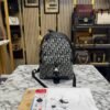 CHRISTIAN DIOR BAG PACK WITH ORIGNAL DUST BAG [PURE LOTTE QUALITY]